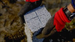 Nahaufnahme eines Granit-Grenzsteins mit Kreuzmarkierung, der mit Handschuhen in Position gebracht wird